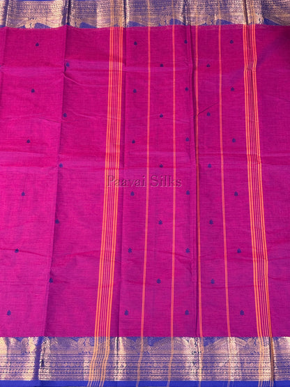 Magenta Saree with Royal Blue Gold Zari Border
